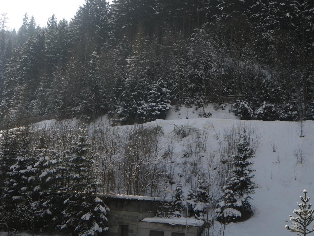 Appartement Schlosser Zell am See Bagian luar foto
